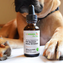 Load image into Gallery viewer, 300mg CBD Oil for Pets